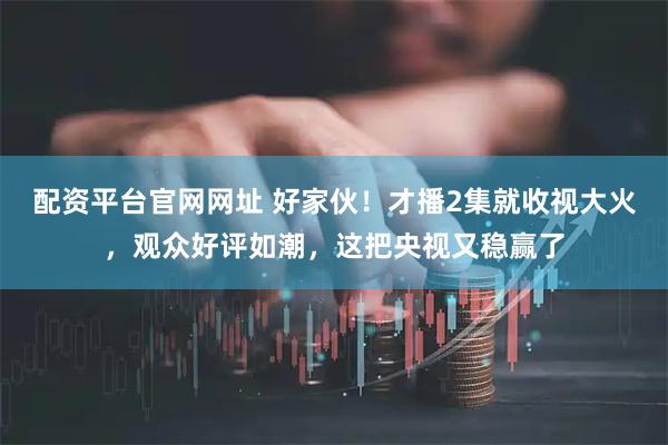 配资平台官网网址 好家伙！才播2集就收视大火，观众好评如潮，这把央视又稳赢了